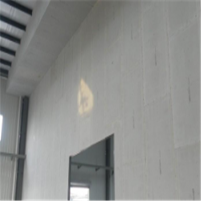 呼兰宁波ALC板|EPS加气板隔墙与混凝土整浇联接的实验研讨